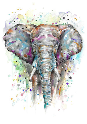 African Elephant