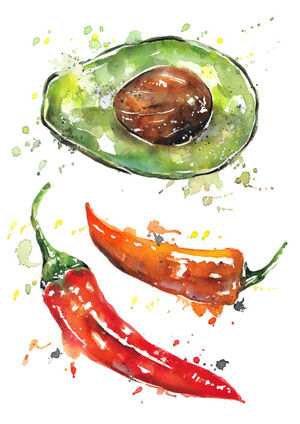 Avocado and Chillies