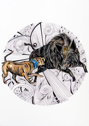 Dog vs Boar