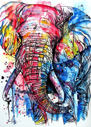 Bold Elephant