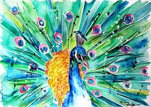 Vibrant Peacock