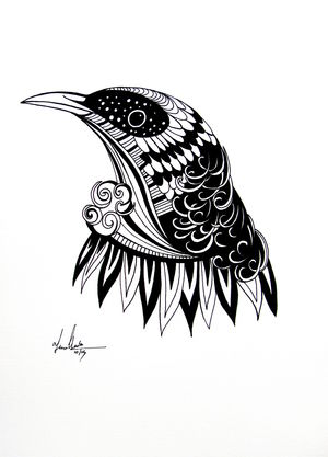 Bold Tui