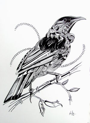 B&W Tui Illustration