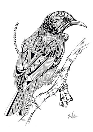 B&W Tui Design