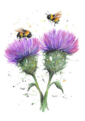 Bees and Thistles