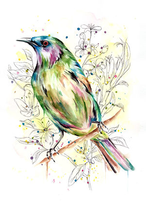 Bellbird