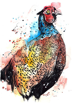 Bold Pheasant 