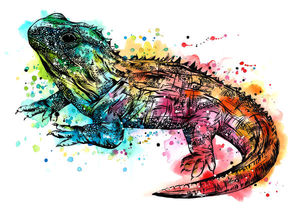 Colourful Tuatara