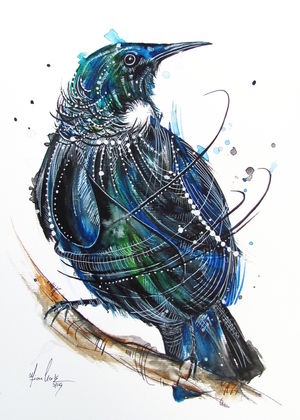 Decorative Tui