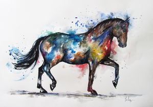 Dressage Horse