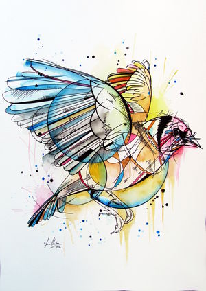 European Goldfinch