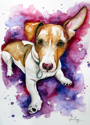 Jack Russell Portrait