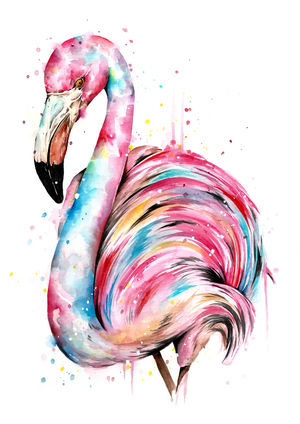 Flamingo Splash