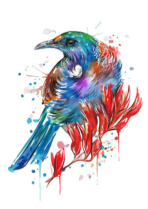 Flax Tui