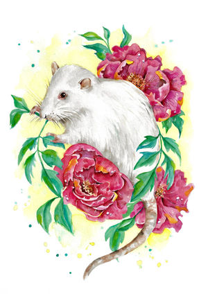 Floral Rat