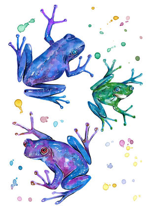 Galaxy Frogs