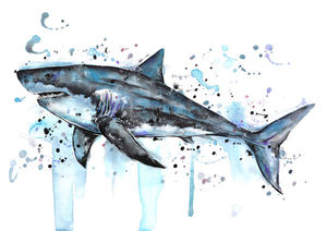Great White Shark