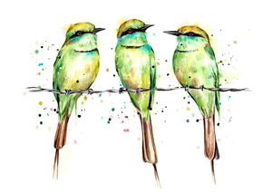 Green Bee-Eaters