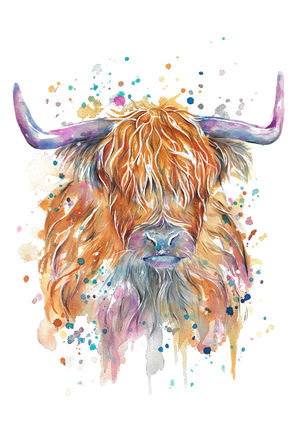 Highland Cow