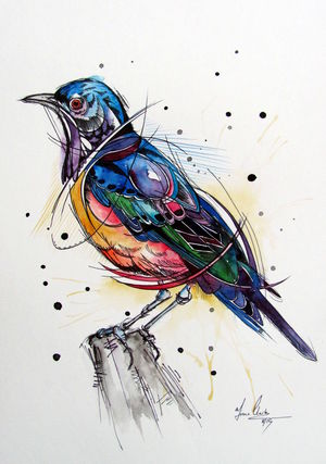 Hildebrandt's Starling