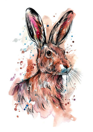 Hare