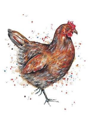 Hen