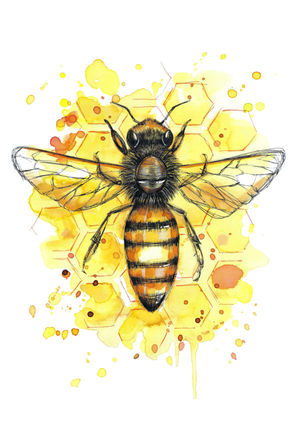 Honeycomb