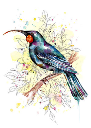 Floral Huia - birds - FionaClarkeART.co.nz