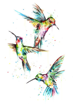 Hummingbird Trio