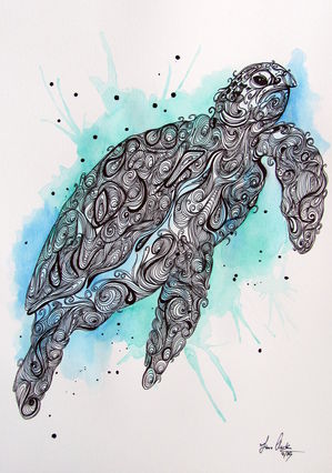 Turtle Splash