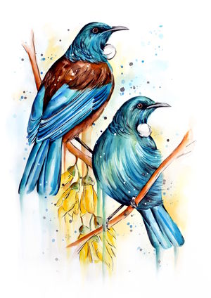 Iridescent Tuis
