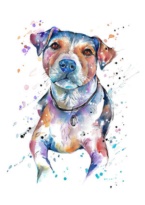 Jack Russell