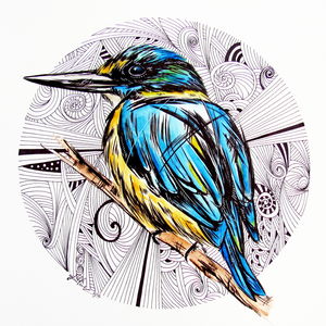 Kingfisher Design