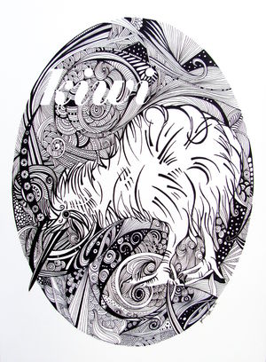 Kiwi Bird Illustration