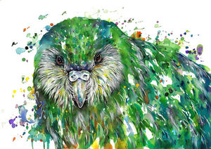 Kakapo