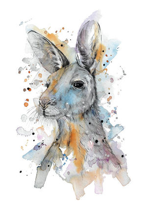 Kangaroo
