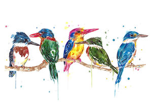 Kingfishers of the World