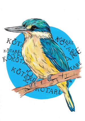 Kōtare Bird