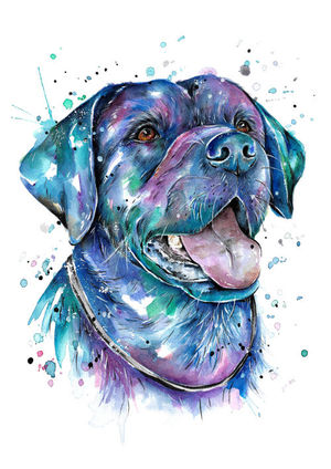 Labrador