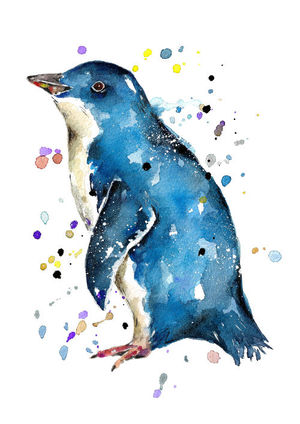 Little Blue Penguin