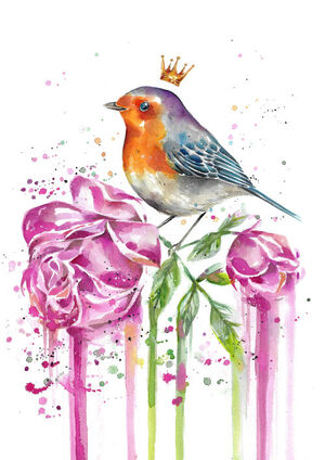 Little Robin