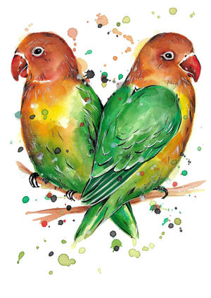 Love Birds