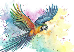 Macaw Splash