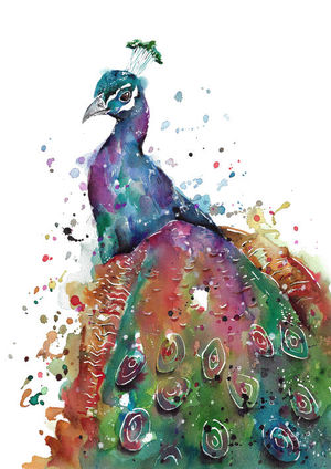 Majestic Peacock