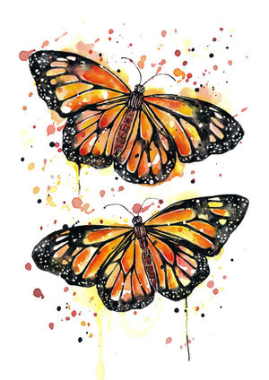 Monarch Butterflies