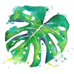 Green Monstera Splash