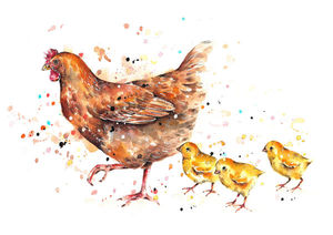 Mother and Chicks