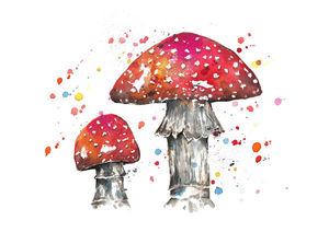 Mushrooms