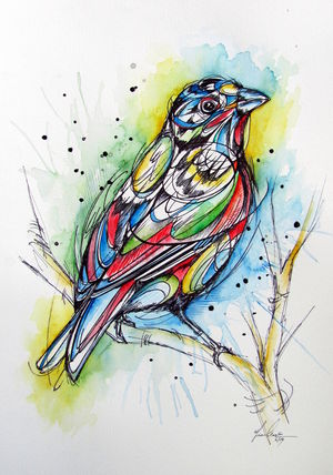 Painted Bunting Male