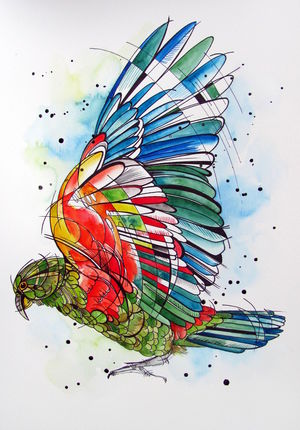 Bold Kea